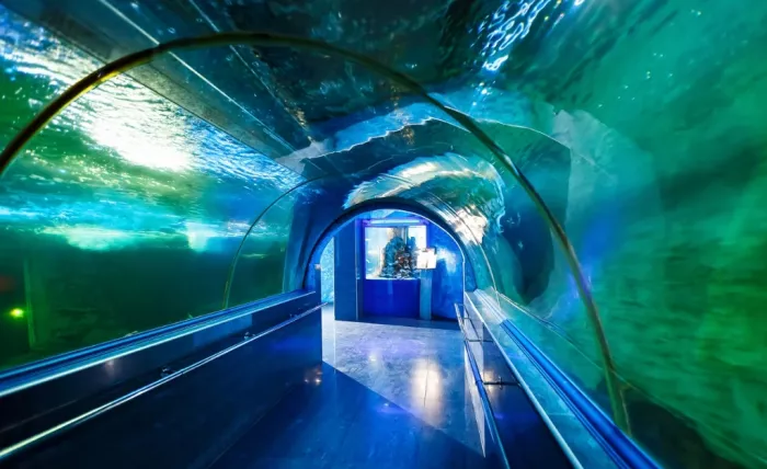 Океанариум "ОКЕАН ПАРК"