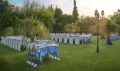 Миниатюра 19