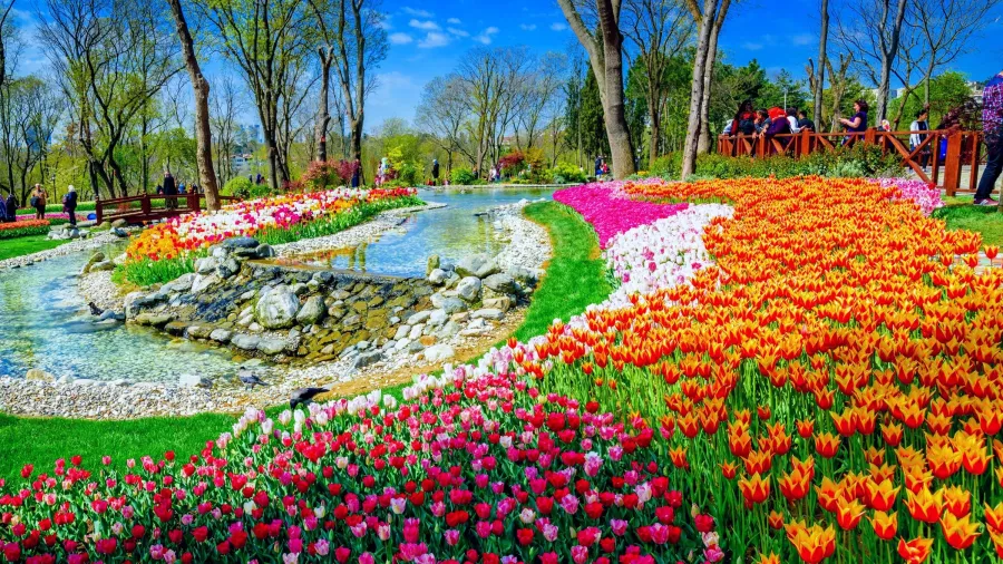 Парк Эмирган (Emirgan korusu) в Стамбуле: Парки Стамбула, Тюльпаны , Музей Тюльпанов , Чилим,