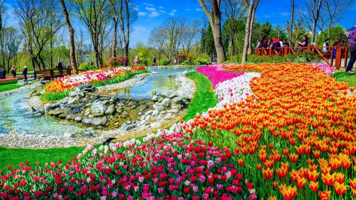 Парк Эмирган (Emirgan korusu)  в  Стамбуле