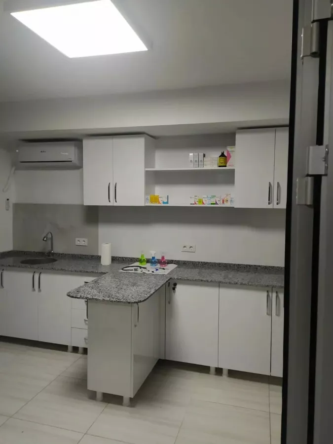 Ветеринарная клиника Luna Veterinary Clinic в Анталии: Животные,