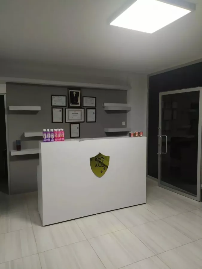 Ветеринарная клиника Luna Veterinary Clinic в Анталии: Животные,