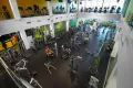 Миниатюра 7