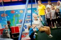 Миниатюра 11