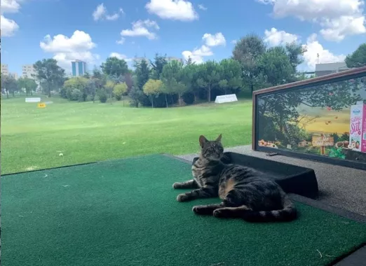 Гольф клуб "Atasehir Golf Club"