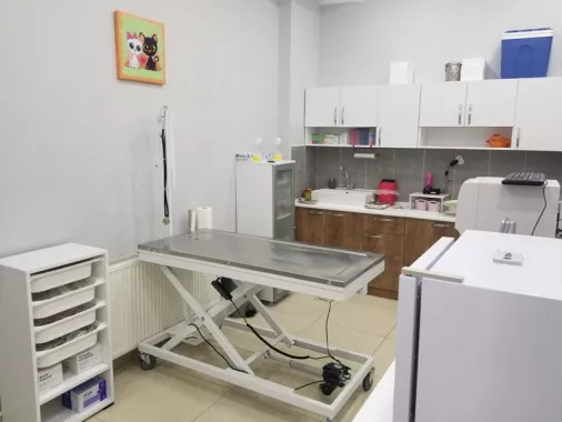 Ветеринарная клиника "Viki Veteriner Kliniği"