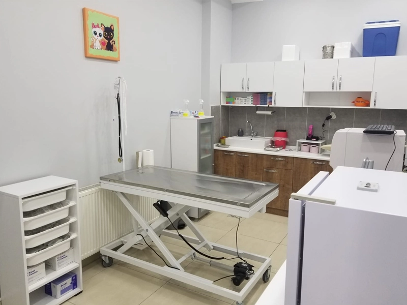 Ветеринарная клиника Viki Veteriner Kliniği в Стамбуле: Ветеринарная клиника , Питомцы , Ветеринар Стамбул ,