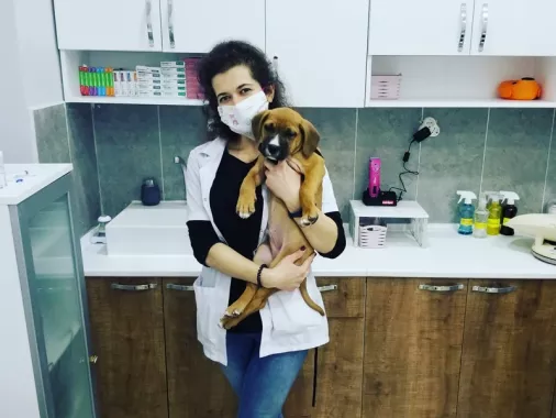 Ветеринарная клиника "Viki Veteriner Kliniği"
