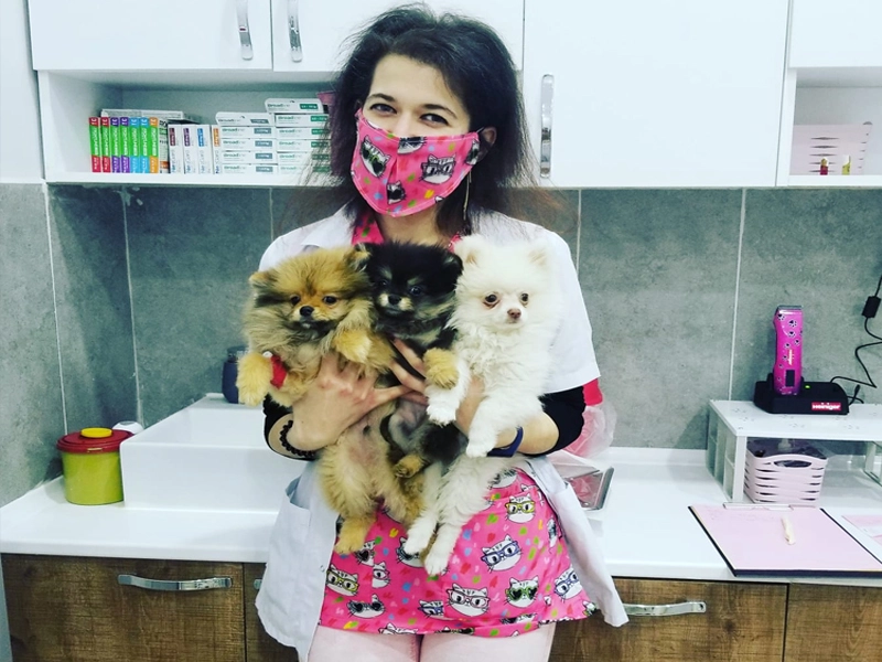 Ветеринарная клиника Viki Veteriner Kliniği в Стамбуле: Ветеринарная клиника , Питомцы , Ветеринар Стамбул ,