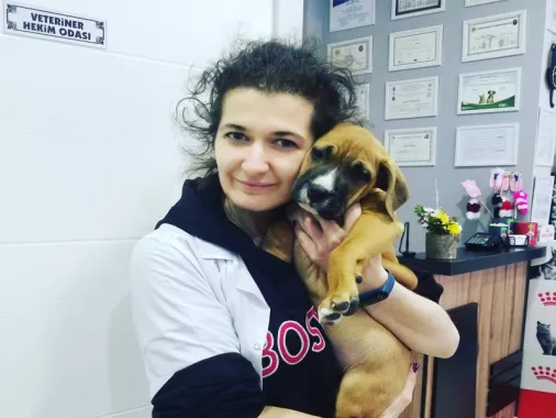 Ветеринарная клиника "Viki Veteriner Kliniği"