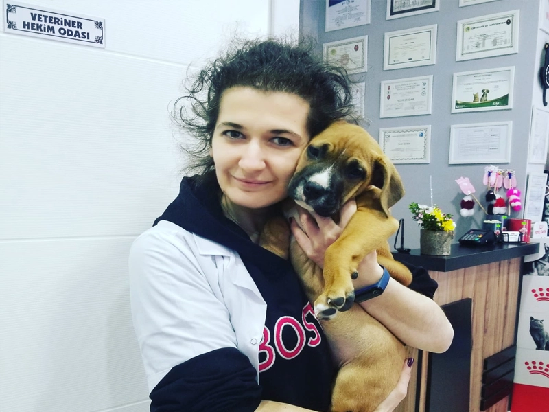 Ветеринарная клиника Viki Veteriner Kliniği в Стамбуле: Ветеринарная клиника , Питомцы , Ветеринар Стамбул ,