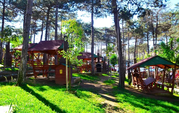 Зоопарк "Park Of İstanbul Doğa ve Yaşam Kompleksi | Çekmeköy Hayvan Rehabilitasyon Merkezi"