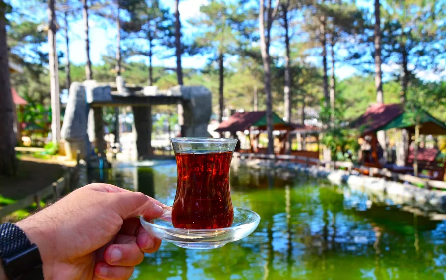 Зоопарк Park Of İstanbul Doğa ve Yaşam Kompleksi | Çekmeköy Hayvan Rehabilitasyon Merkezi в Стамбуле: Активный Отдых, Зоопарк, Веревочный парк, Животные,