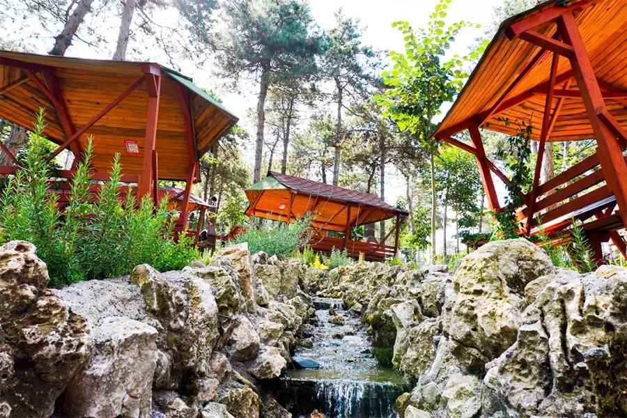 Зоопарк Park Of İstanbul Doğa ve Yaşam Kompleksi | Çekmeköy Hayvan Rehabilitasyon Merkezi в Стамбуле: Активный Отдых, Зоопарк, Веревочный парк, Животные,