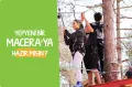 Миниатюра 12