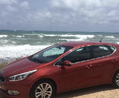 Аренда автомобилей "FOXCARS"