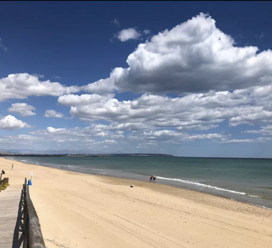 Пляж Playa de La Mata в Торревьехе: Отдых, Пляж, Вода,