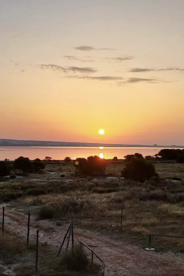 Пляж Playa de La Mata в Торревьехе: Отдых, Пляж, Вода,