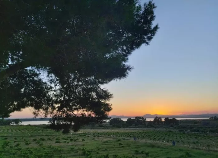  Природный заповедник "Парк Натураль де Лас Лагунас де Ла Мата и Торревьеха"