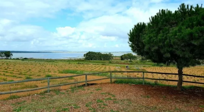  Природный заповедник "Парк Натураль де Лас Лагунас де Ла Мата и Торревьеха"