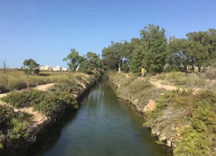  Природный заповедник "Парк Натураль де Лас Лагунас де Ла Мата и Торревьеха"