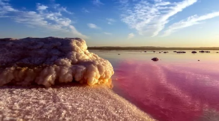  Природный заповедник "Парк Натураль де Лас Лагунас де Ла Мата и Торревьеха"