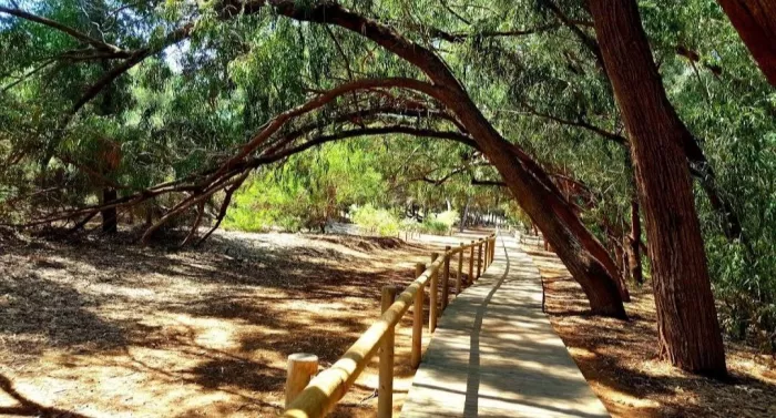  Природный заповедник "Парк Натураль де Лас Лагунас де Ла Мата и Торревьеха"