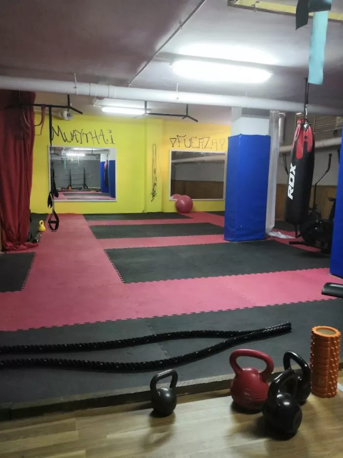 Фитнес "Torre Force"