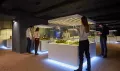 Миниатюра 13