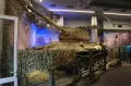 Миниатюра 7