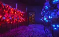 Миниатюра 7