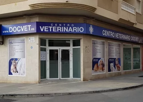 Ветеринарная клиника Veterenario DocVet  в  Торревьехе