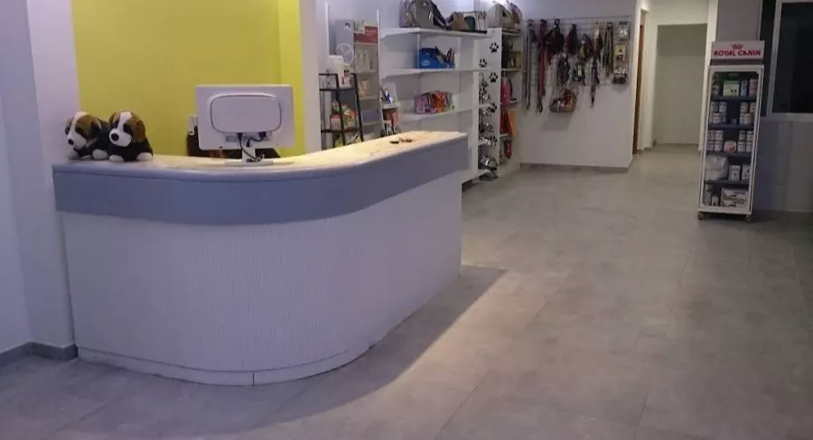 Ветеринария Veterinary Polyclinic Zoocenter в Торревьехе: Ветеринар, Коты, Собаки, Животные,