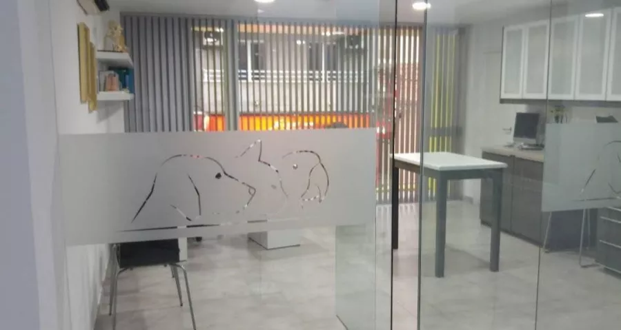 Ветеринария Veterinary Polyclinic Zoocenter в Торревьехе: Ветеринар, Коты, Собаки, Животные,