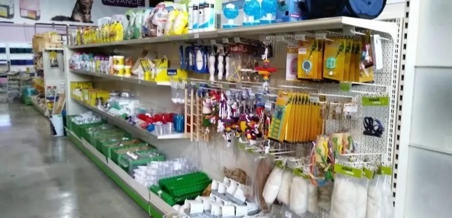 Ветеринария-зоомагазин Torremascotas S.l. в Торревьехе: Ветеринар, Коты, Собаки, Зоомагазин, Животные,