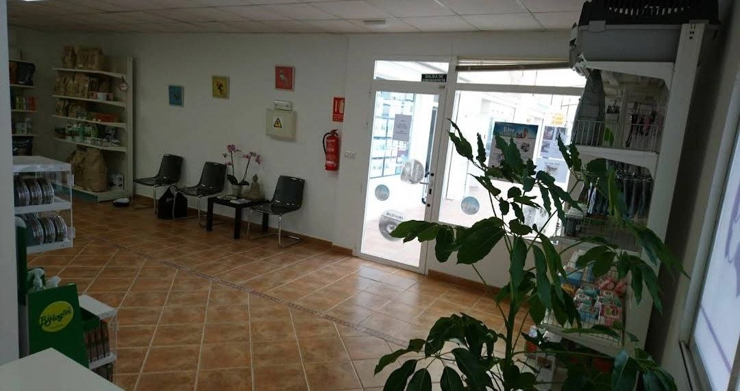 Ветеринария "Veterzoo Rojales y Los Balcones"