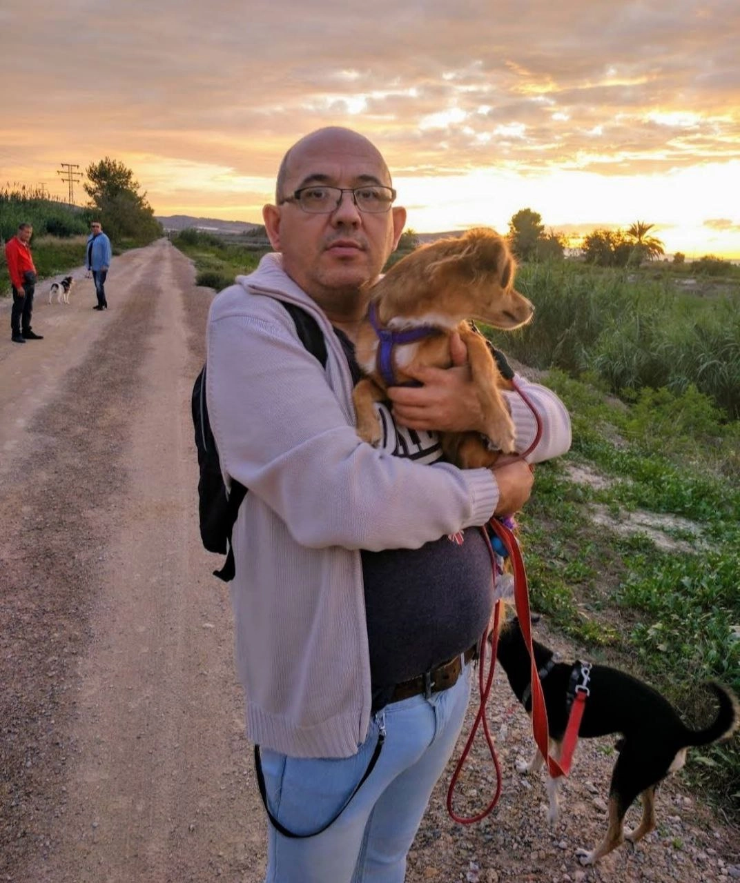 Ветеринария "Veterzoo Rojales y Los Balcones"