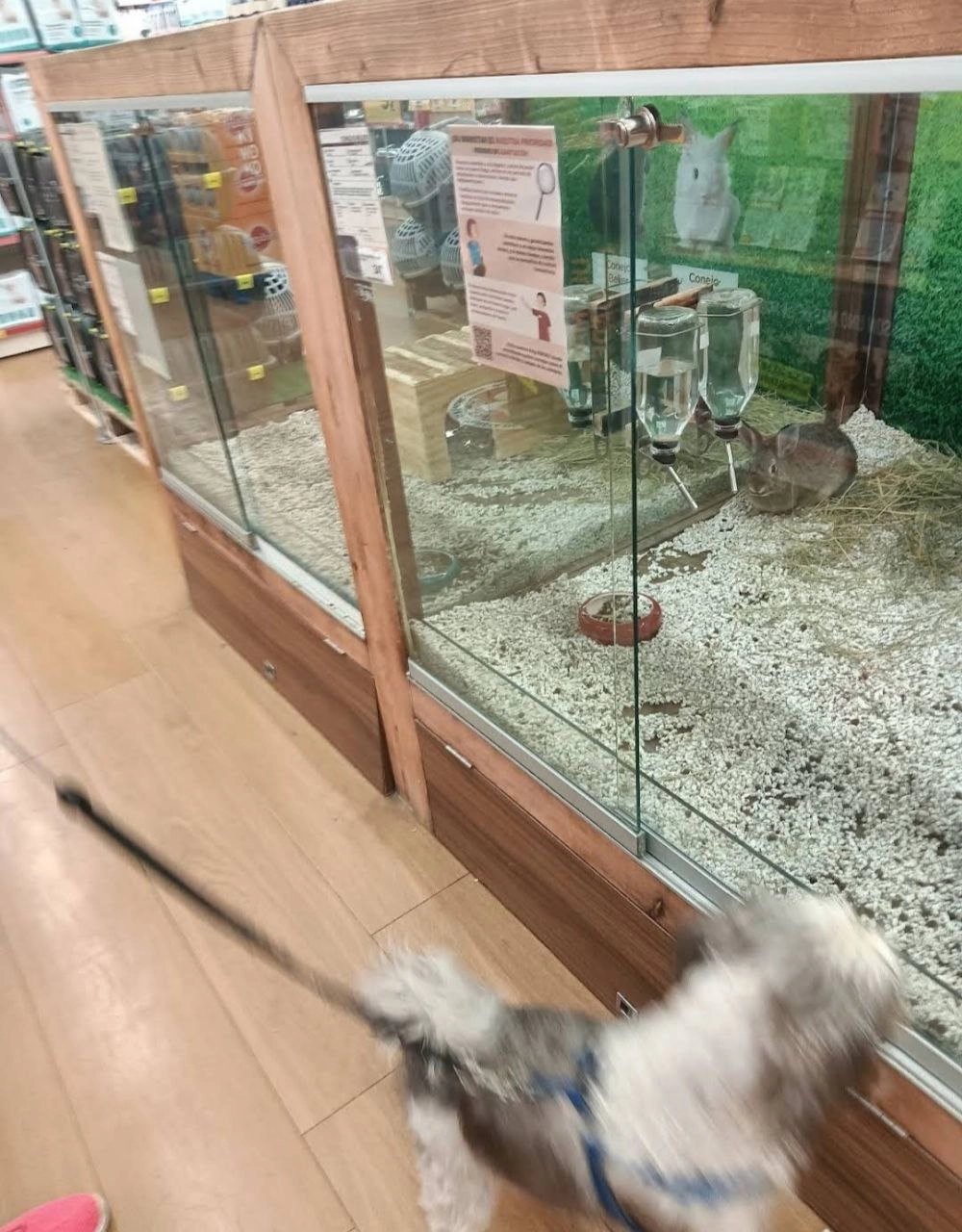 Зоомагазин "Kiwoko. Animal world"