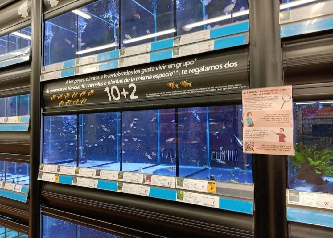 Зоомагазин "Kiwoko. Animal world"