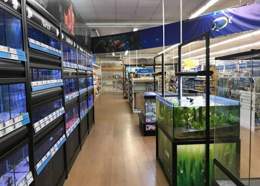 Зоомагазин Kiwoko. Animal world в Торревьехе: Зоомагазин, Собаки, Животные,