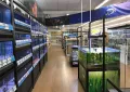 Миниатюра 10