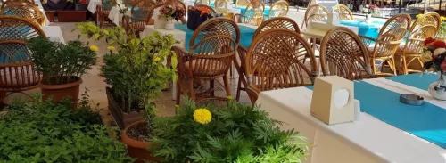 Ресторан морской кухни Iskele Fish And Steak House в Анталии