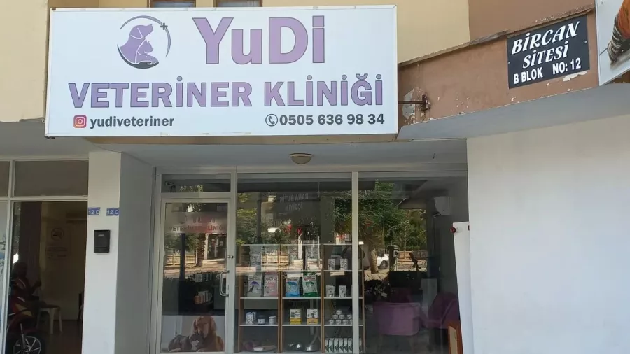 Ветеринарная клиника YuDi в Анталии: Животные,