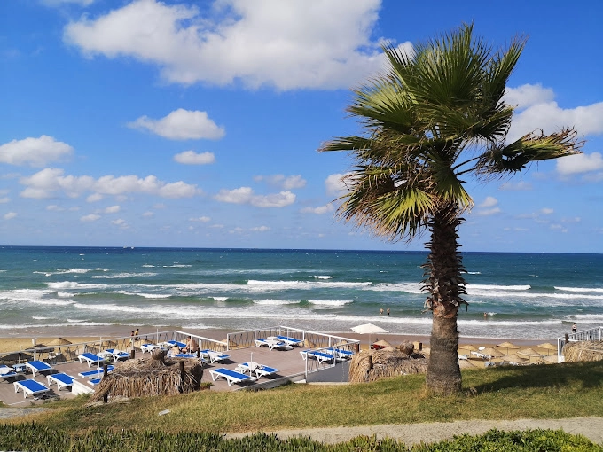 Пляж Solar Beach в Стамбуле: Море, Пляж, Солар, Пляжи Стамбула , Шезлонг,