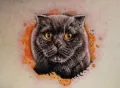 Миниатюра 13