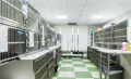 Миниатюра 15