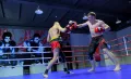 Миниатюра 11