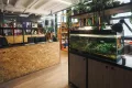 Миниатюра 11