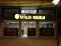 Миниатюра 6