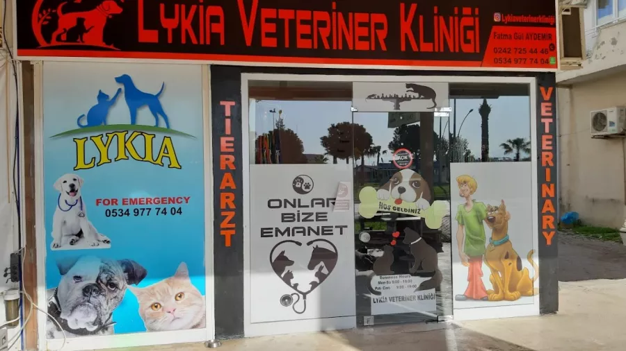 Ветеринарная клиника Lykia Veteriner Kliniği в Серик: Больница, Животные,